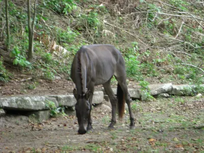Tayrona National Park — 6 August 2007