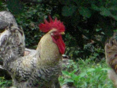 Tayrona National Park — 6 August 2007