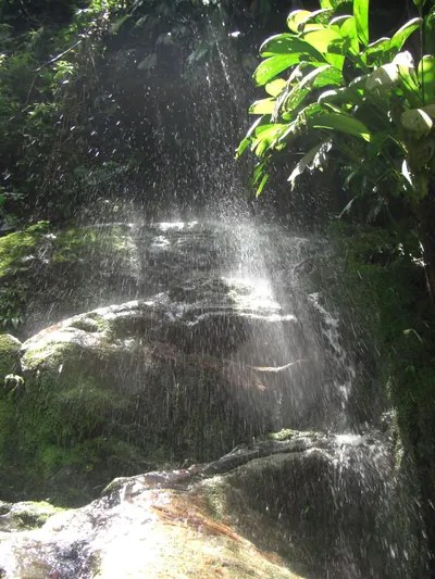 Ciudad Perdida — 1 August 2007