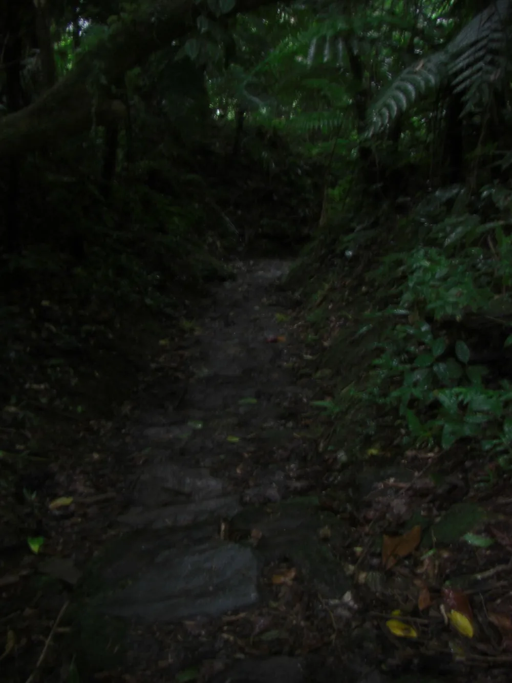Ciudad Perdida — 1 August 2007