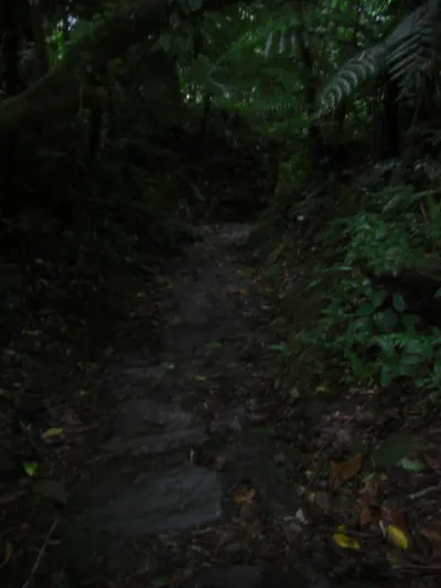 Ciudad Perdida — 1 August 2007