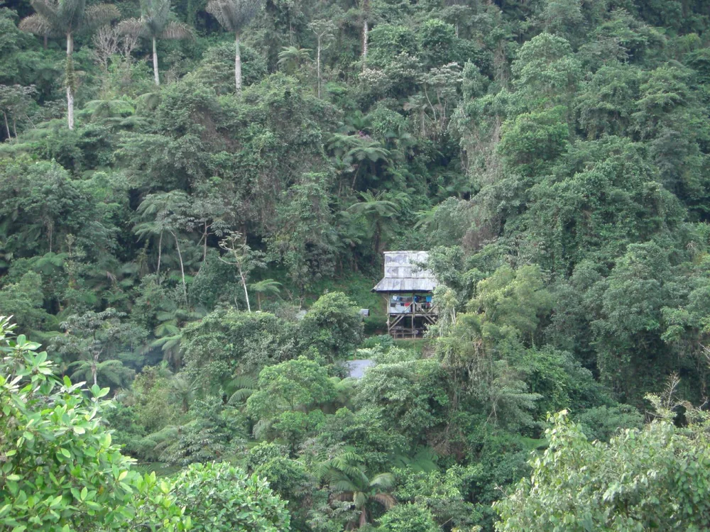 Ciudad Perdida — 2 August 2007