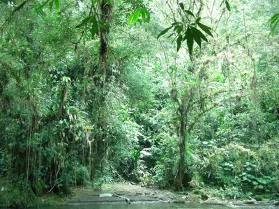 Ciudad Perdida — 2 August 2007