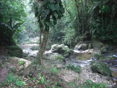 Ciudad Perdida — 4 August 2007