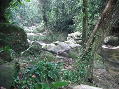 Ciudad Perdida — 4 August 2007