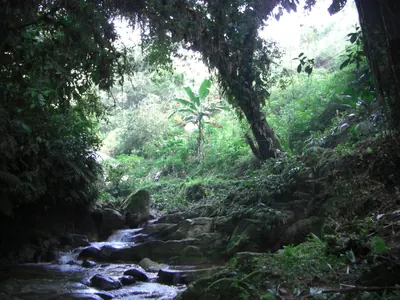 Ciudad Perdida — 4 August 2007