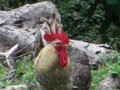 Tayrona National Park — 6 August 2007