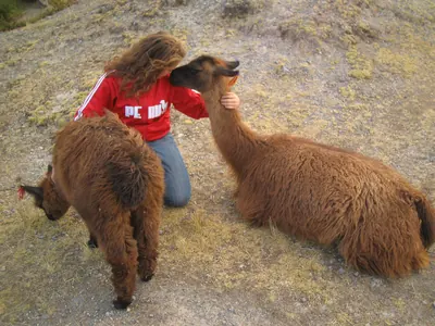 Cusco — 23 August 2007
