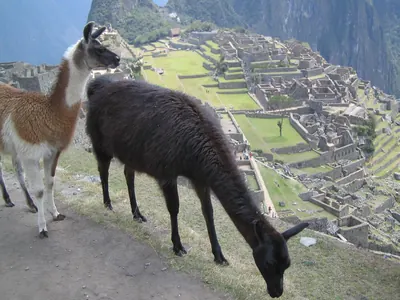 Machu Picchu — 4 September 2007