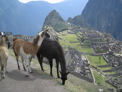 Machu Picchu — 4 September 2007