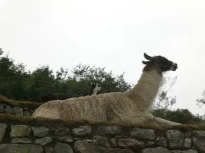 Machu Picchu — 4 September 2007