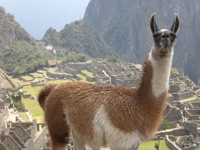 Machu Picchu — 4 September 2007