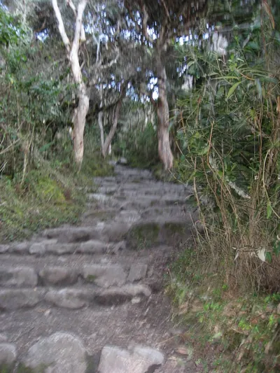 Machu Picchu — 2 September 2007