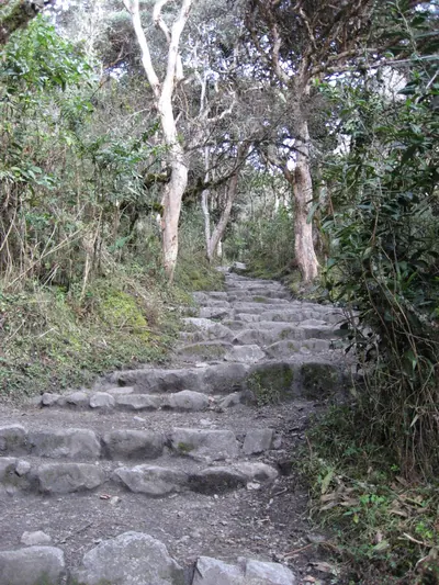 Machu Picchu — 2 September 2007