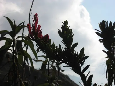 Machu Picchu — 2 September 2007