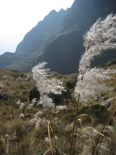 Machu Picchu — 2 September 2007