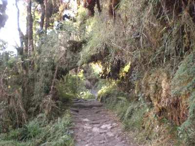 Machu Picchu — 2 September 2007