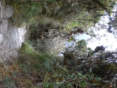 Machu Picchu — 3 September 2007