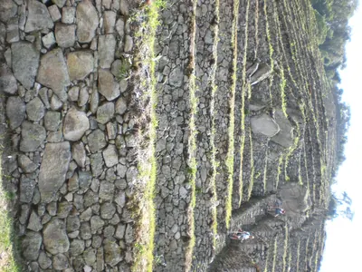 Machu Picchu — 3 September 2007