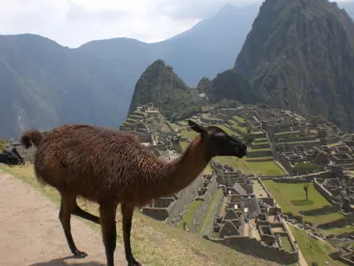 Machu Picchu — 4 September 2007