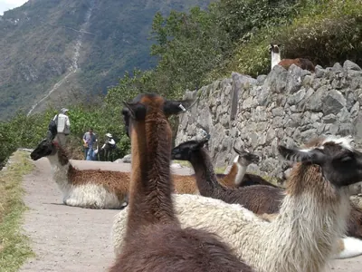 Machu Picchu — 4 September 2007