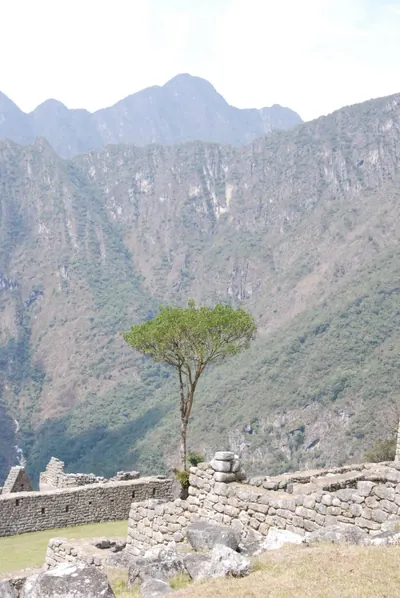 Machu Picchu — 4 September 2007