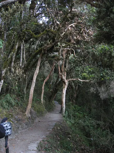 Machu Picchu — 2 September 2007