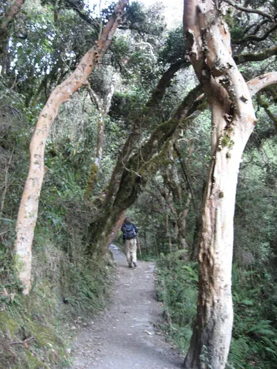 Machu Picchu — 2 September 2007