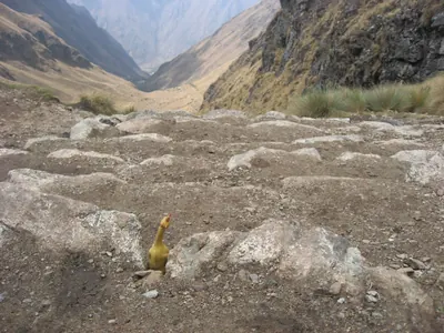 Machu Picchu — 2 September 2007