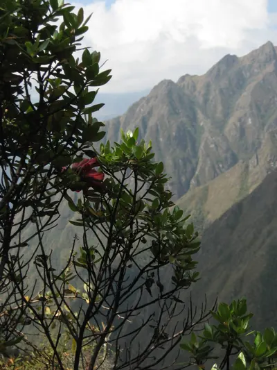 Machu Picchu — 2 September 2007