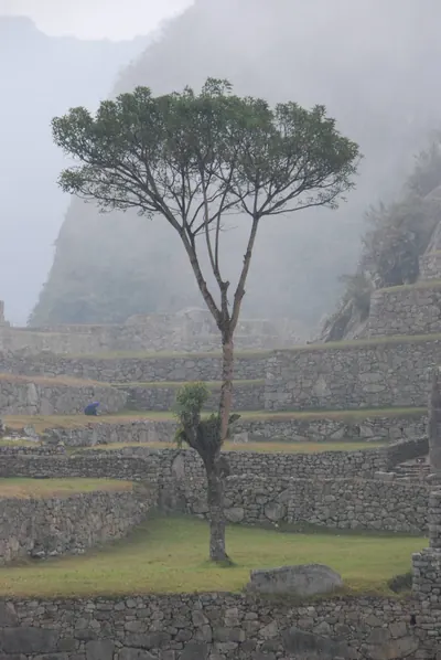 Machu Picchu — 4 September 2007