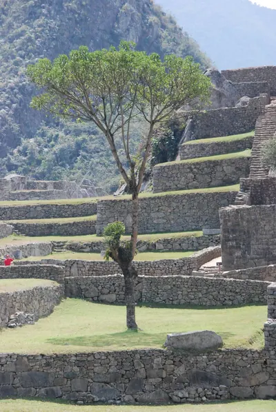 Machu Picchu — 4 September 2007