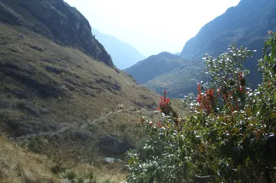 Machu Picchu — 2 September 2007