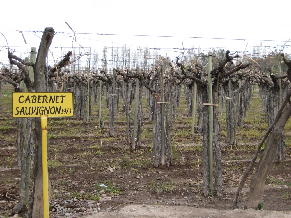 Mendoza — 16 September 2007