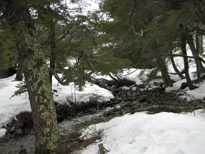 Tronador Glacier — 19 September 2007
