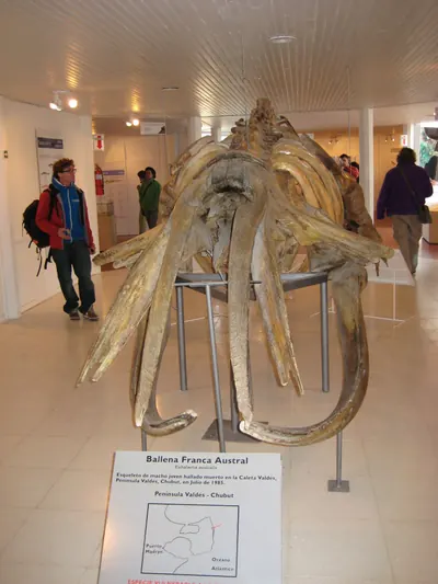 Puerto Madryn — 24 September 2007
