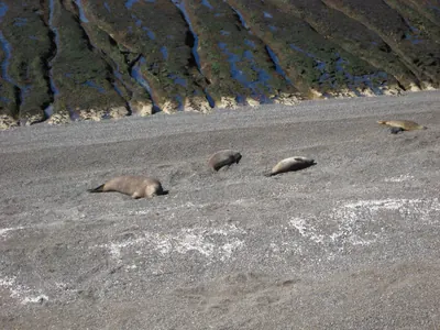 Puerto Madryn — 24 September 2007