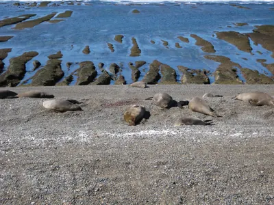 Puerto Madryn — 24 September 2007