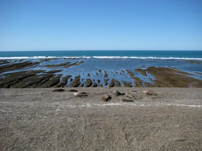 Puerto Madryn — 24 September 2007