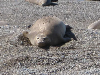 Puerto Madryn — 24 September 2007
