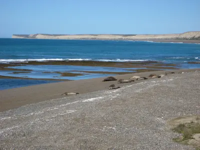 Puerto Madryn — 24 September 2007