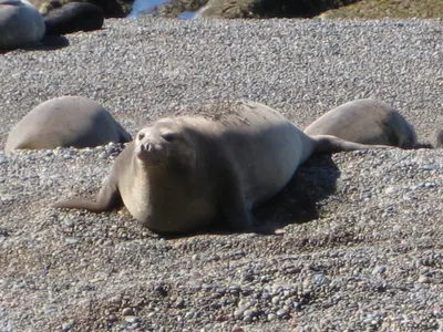 Puerto Madryn — 24 September 2007