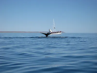 Puerto Madryn — 24 September 2007