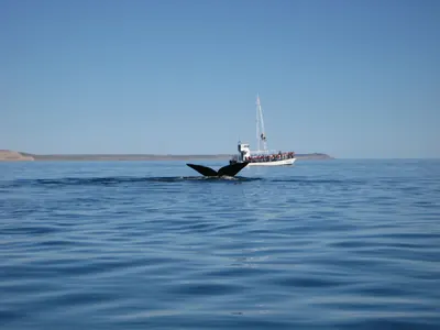 Puerto Madryn — 24 September 2007