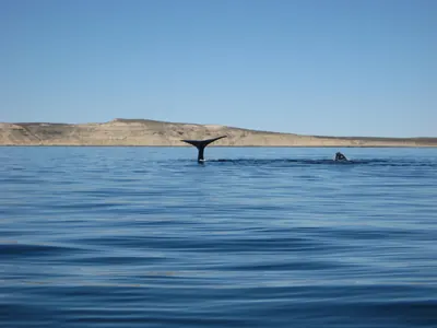 Puerto Madryn — 24 September 2007
