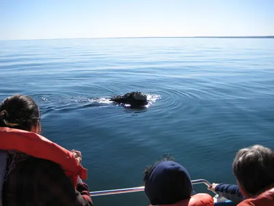 Puerto Madryn — 24 September 2007