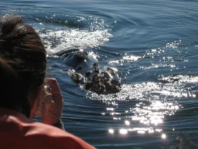 Puerto Madryn — 24 September 2007