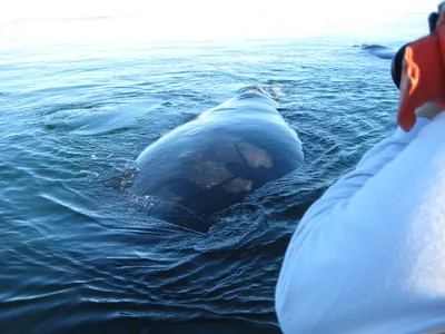 Puerto Madryn — 24 September 2007