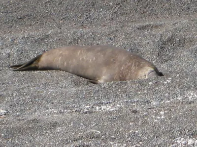 Puerto Madryn — 24 September 2007