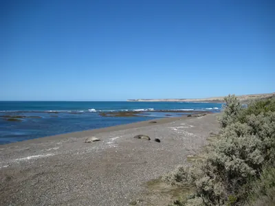 Puerto Madryn — 24 September 2007